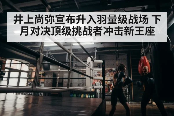 boxer training