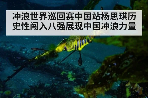 冲浪世界巡回赛中国站杨思琪历史性闯入八强展现中国冲浪力量