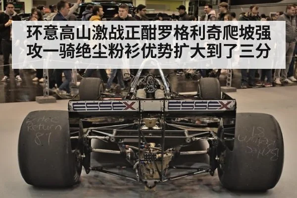 环意高山激战正酣罗格利奇爬坡强攻一骑绝尘粉衫优势扩大到了三分